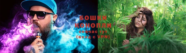сатива Белоозёрский