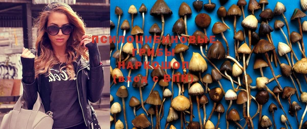 jwh Беломорск