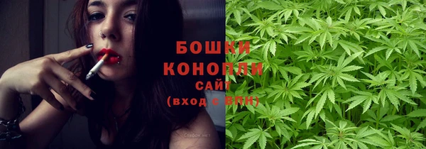 сатива Белоозёрский