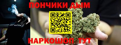 стаф Моздок