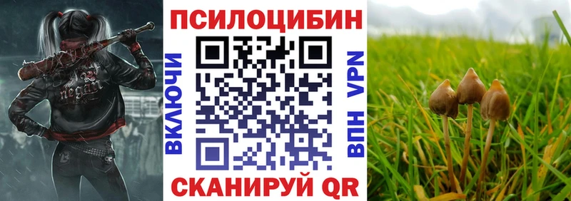 Псилоцибиновые грибы мухоморы  купить закладку  Губкинский 