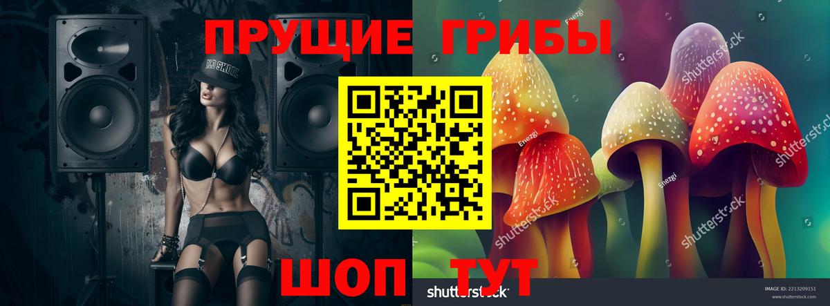 Галлюциногенные грибы Magic Shrooms  Псилоцибиновые грибы Psilocybe  Губкинский  Вход с VPN 